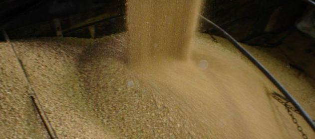 อาร์เจนตินาให้ความสนใจถึงตลาดเวียดนาม